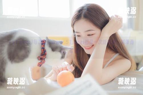 51.com 每次打开www.51.com都是一次新收藏,贼带劲的,哈哈!