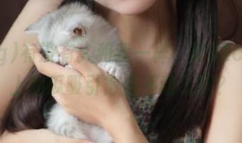 有没有人和我一样，被52cg网页上的瓜吸引得走不动了啊？
