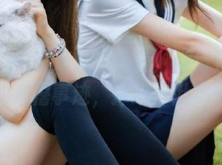 冲哥精选网页：探讨那些年玩偶的滑稽事迹，捧心捧肚齐分享