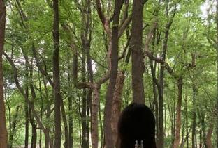 一键搞定，扒哥黑料传送门，下载软件直击八卦核心！