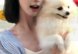 观看黑料不打烊的最新地址，从此追逐八卦的路上又多了个选择。