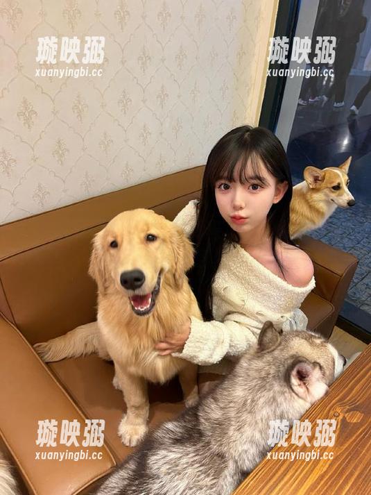 黑料正能量不打烊 厉害了我的黑料正能量不打烊苹果版,官网吓我一跳!