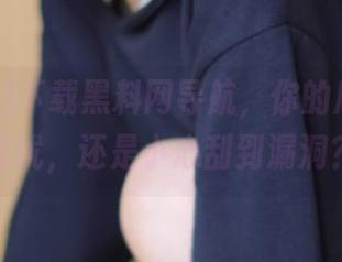 下载黑料网导航，你的瓜田安全无忧，还是小心刮到漏洞？