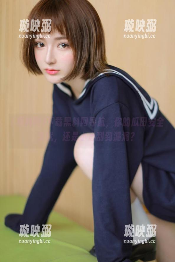 下载黑料网导航，你的瓜田安全无忧，还是小心刮到漏洞？