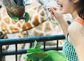 一逛“黑料网”首页，发布的令我顿时电击