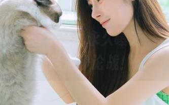 一言不合就永久曝光，黑料网最新话题争论战！